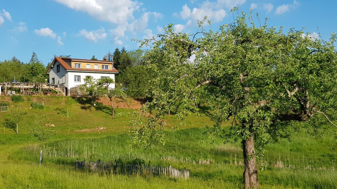 Ferienwohnung CŒUR VERT ökologisch mit viel Ambiente für Seelen-Wellness Ronchamp Exterior foto